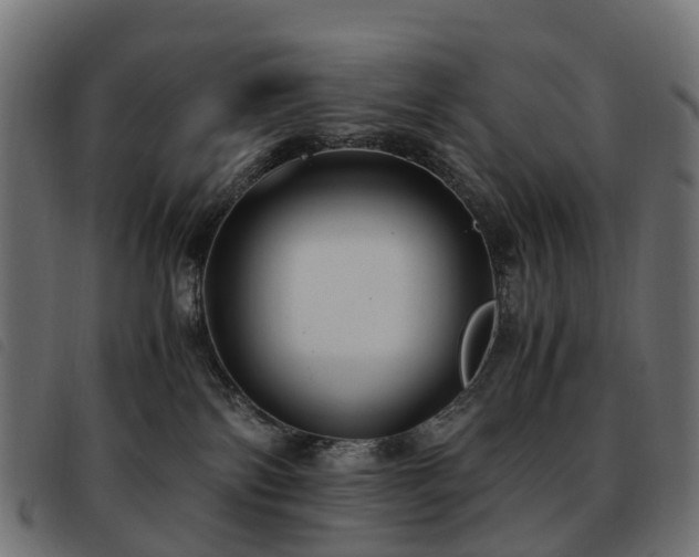 X0000093590138200710151211