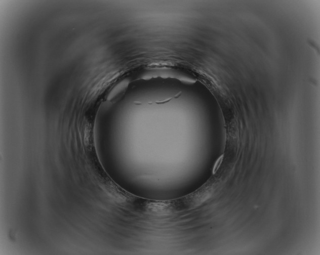 X0000093590139200710151211