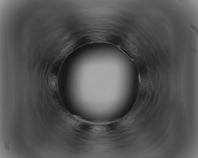 X0000093590141200710151211