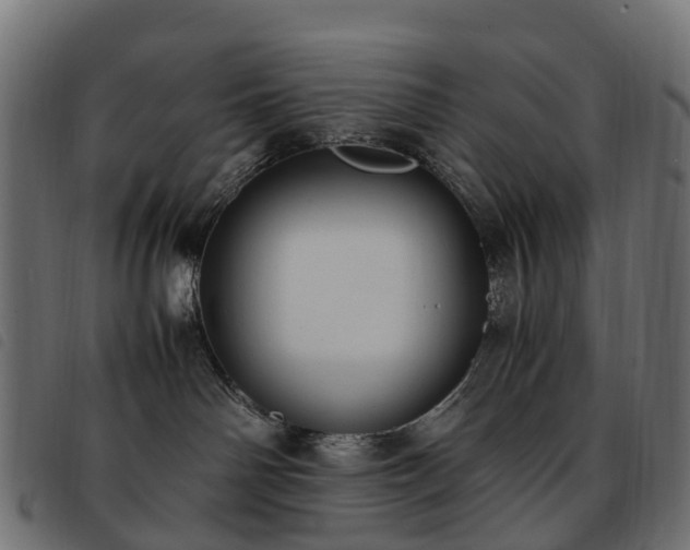 X0000093590142200710151211