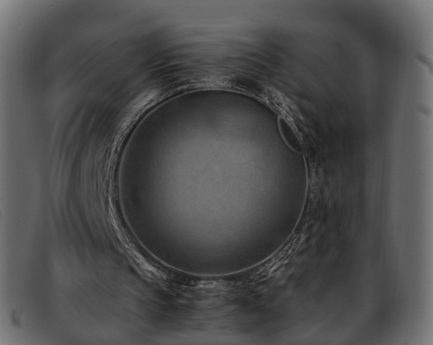 X0000093590145200710151211