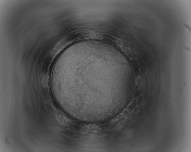 X0000093590146200710151211