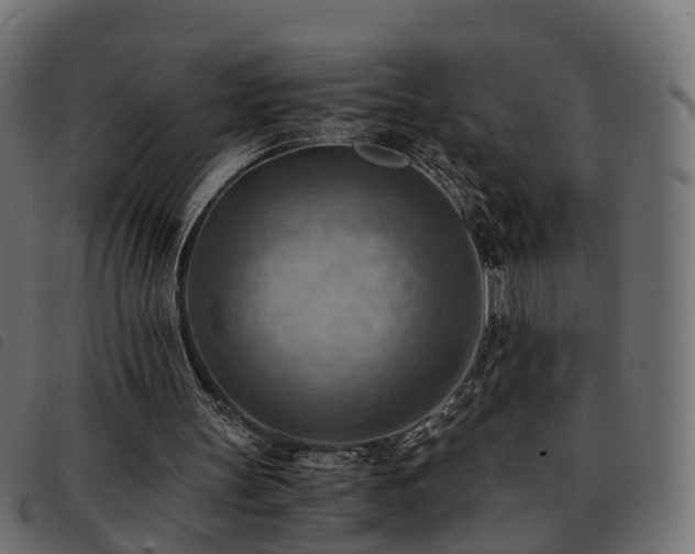X0000093590147200710151211