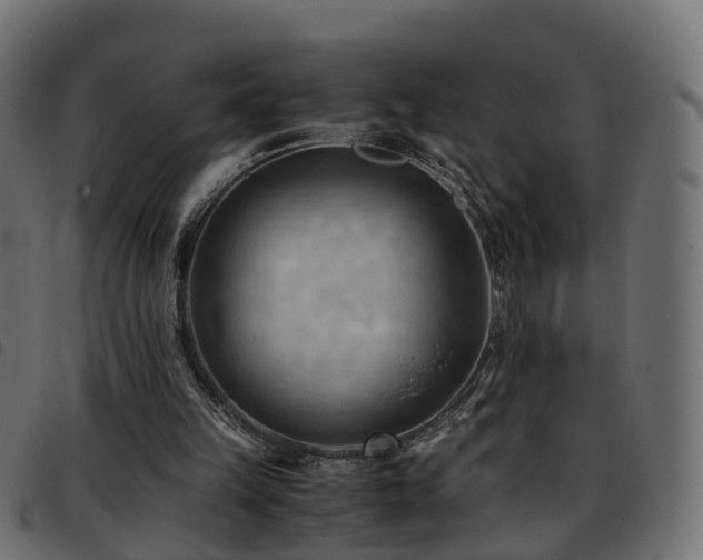 X0000093590149200710151211