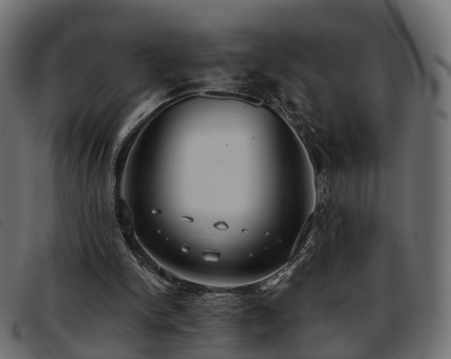 X0000093590150200710151211