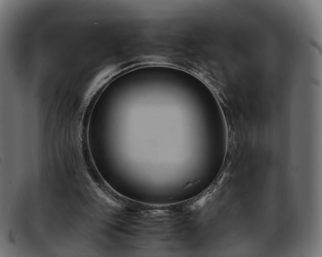 X0000093590151200710151211