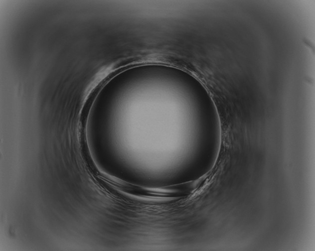 X0000093590152200710151211
