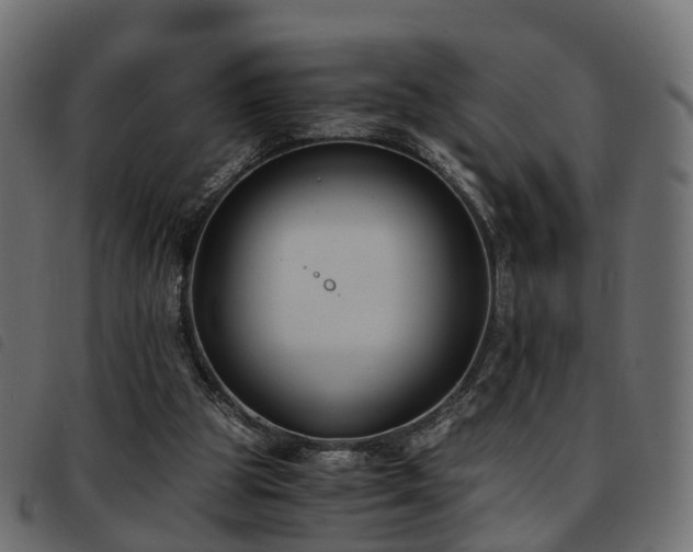 X0000093590153200710151211