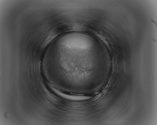 X0000093590154200710151211