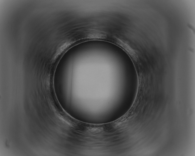 X0000093590155200710151211