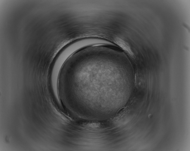 X0000093590156200710151211
