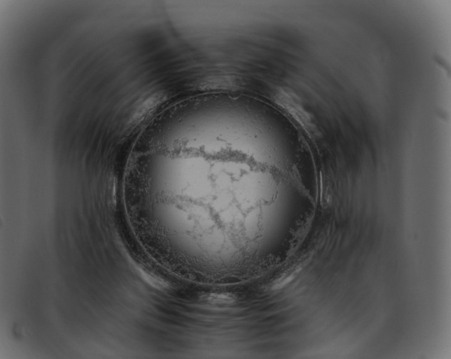 X0000093590157200710151211
