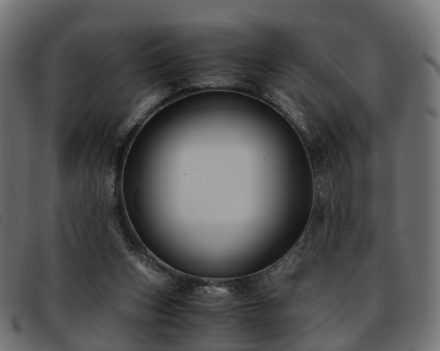 X0000093590159200710151211