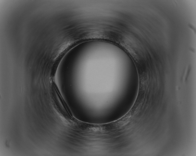 X0000093590160200710151211