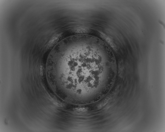 X0000093590161200710151211