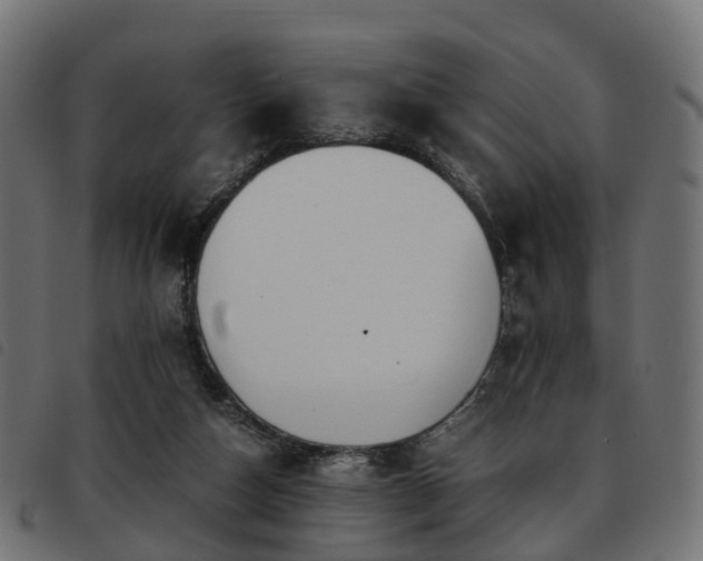 X0000093590162200710151211