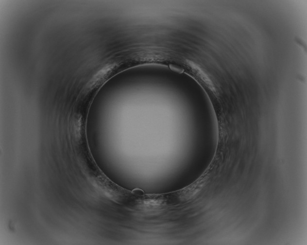 X0000093590163200710151211