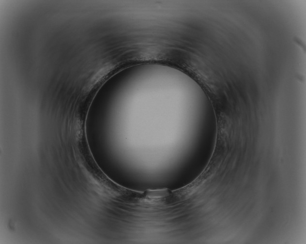 X0000093590164200710151211