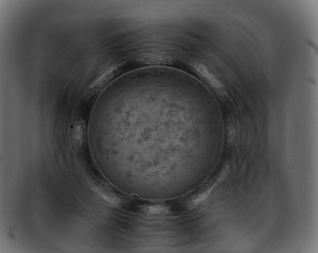 X0000093590165200710151211