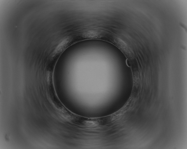 X0000093590167200710151211