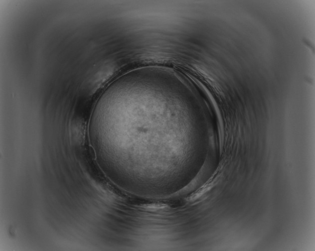X0000093590168200710151211