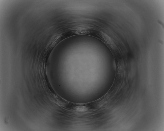 X0000093590169200710151211