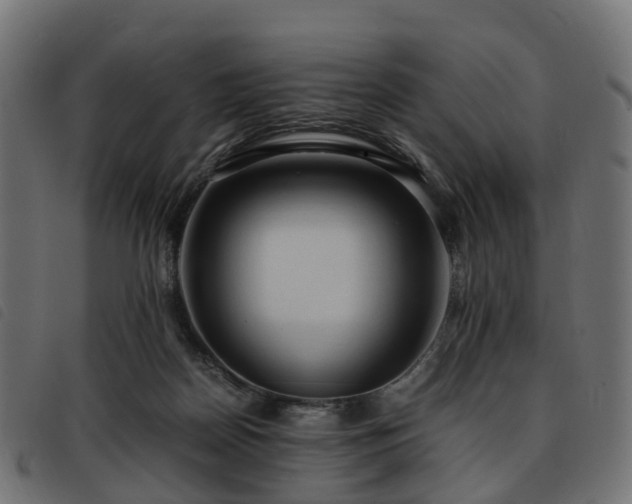 X0000093590170200710151211