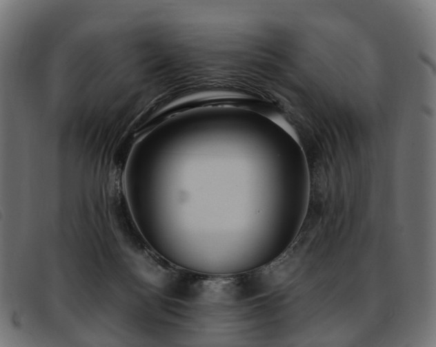 X0000093590172200710151211