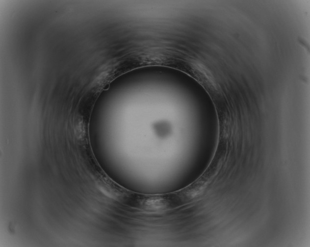 X0000093590173200710151211