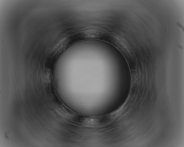 X0000093590174200710151211