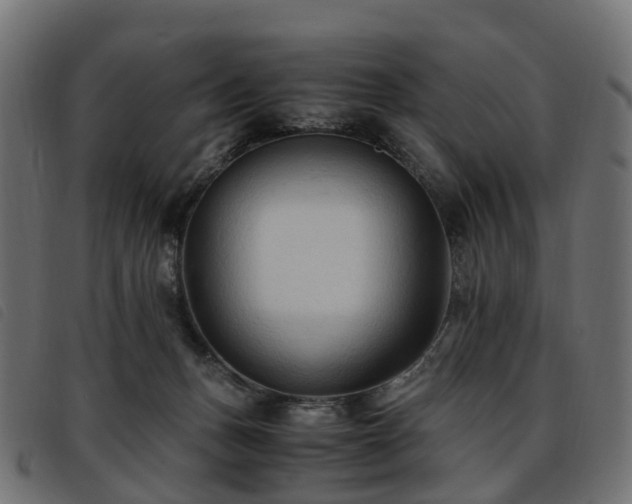 X0000093590175200710151211
