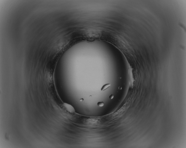 X0000093590176200710151211