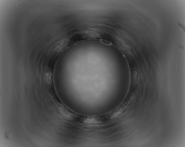 X0000093590177200710151211