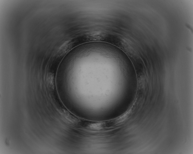 X0000093590178200710151211