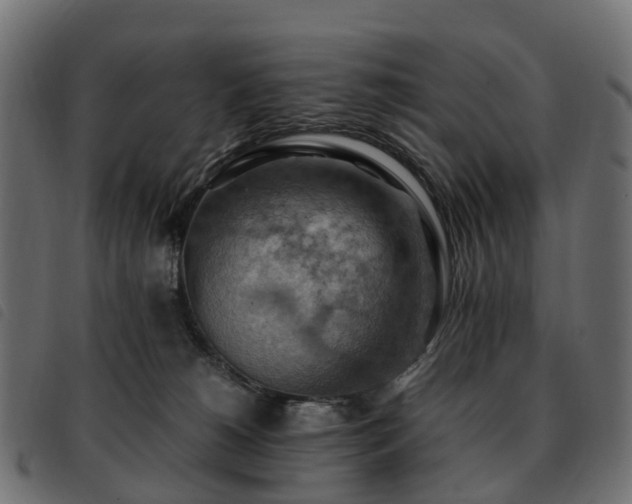X0000093590180200710151211