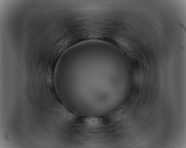 X0000093590181200710151211