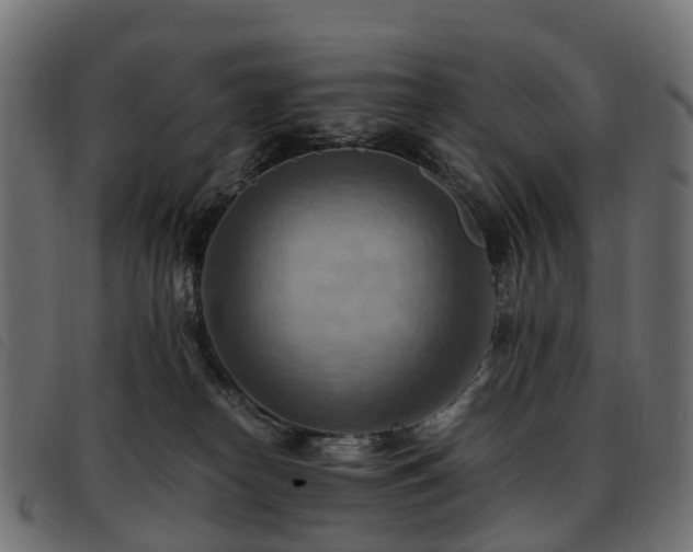 X0000093590182200710151211