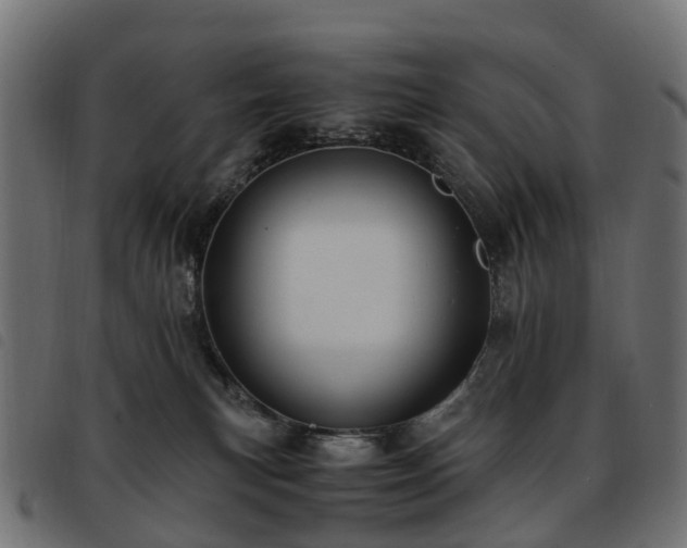 X0000093590183200710151211