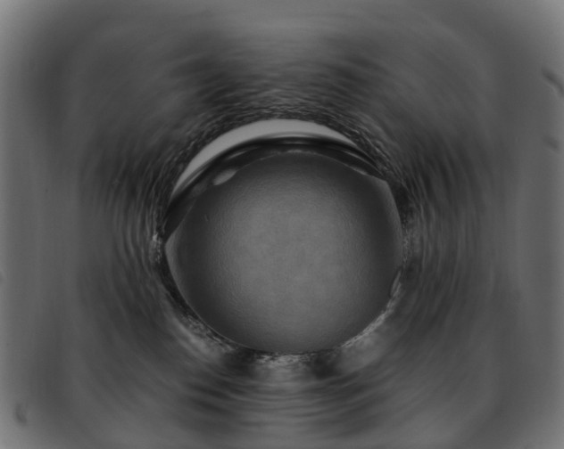 X0000093590186200710151211