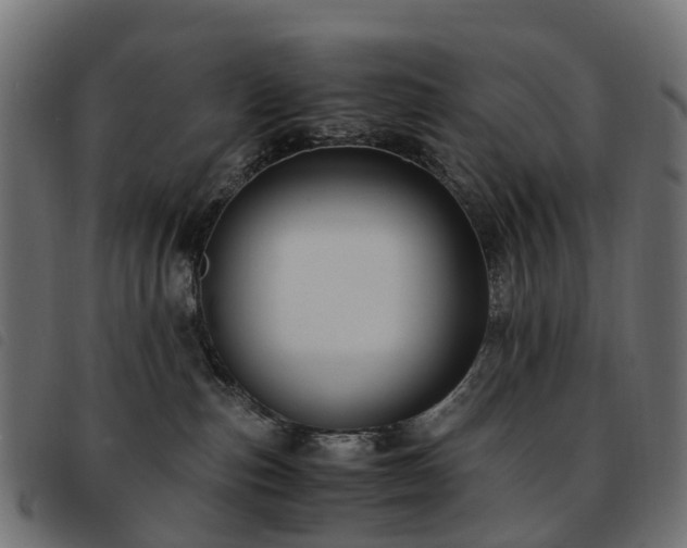 X0000093590187200710151211