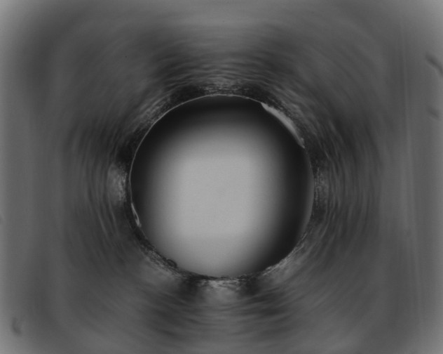 X0000093590188200710151211