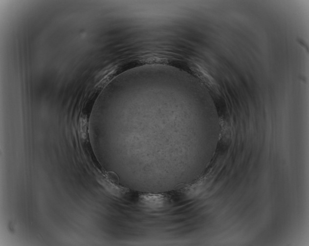 X0000093590189200710151211