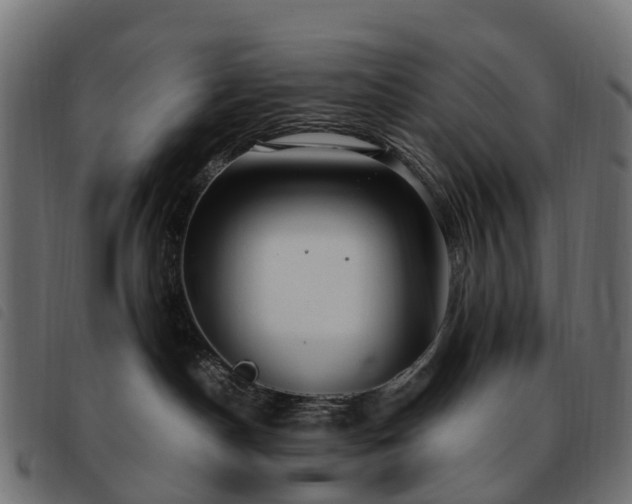 X0000093590190200710151211