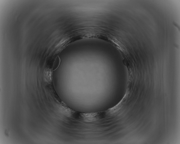 X0000093590191200710151211