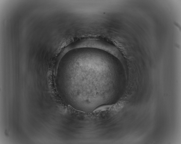 X0000093590192200710151211