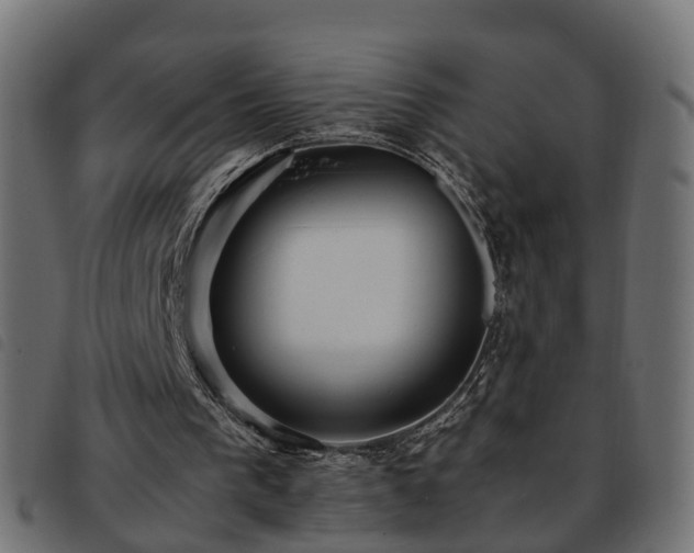 X0000093590193200710151211
