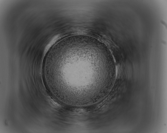 X0000093590195200710151211