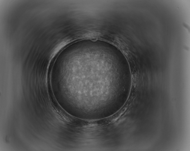 X0000093590196200710151211