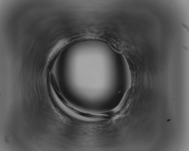 X0000093590197200710151211