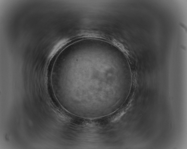 X0000093590199200710151211